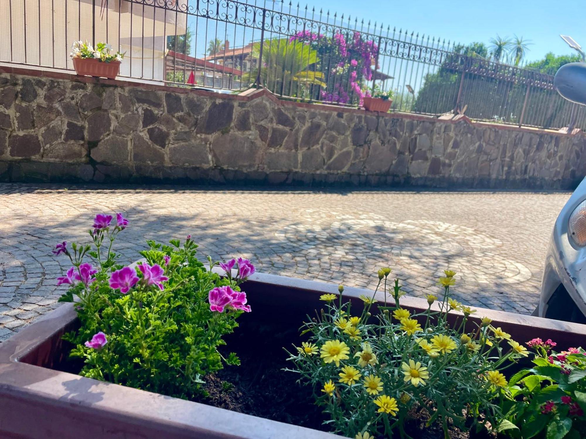 Da Ste Apartment Ercolano Bagian luar foto